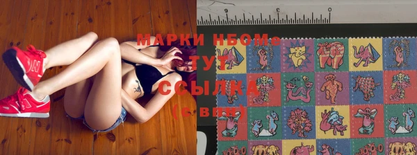 сатива Арсеньев