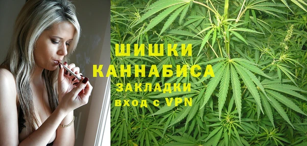 сатива Арсеньев