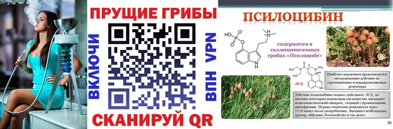 Галлюциногенные грибы мухоморы  Бабушкин 